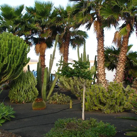 Apartman Casa Ti - Botanica *