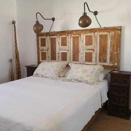 Casa Ti - Botanica