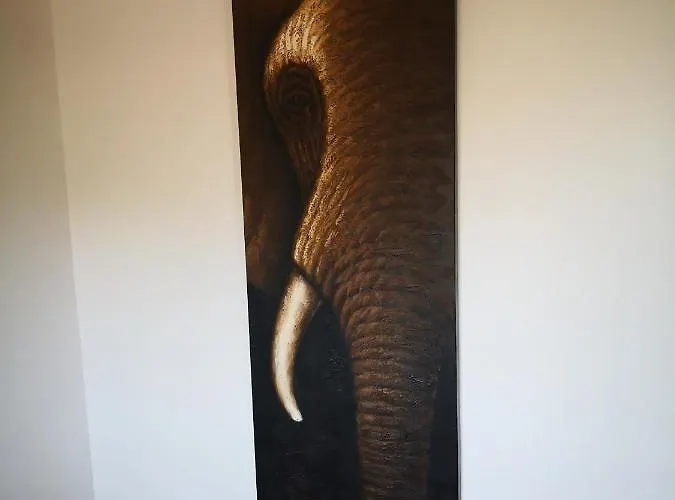 Διαμέρισμα Casa Ti - Botanica