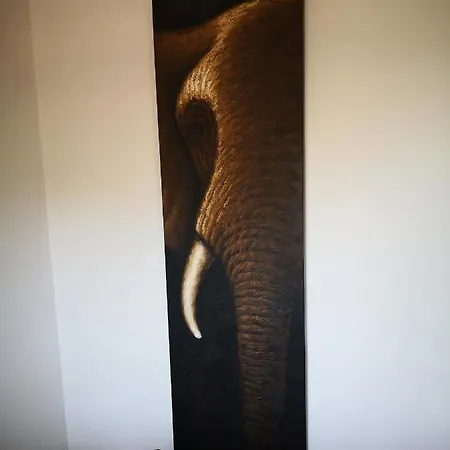 Daire Casa Ti - Botanica