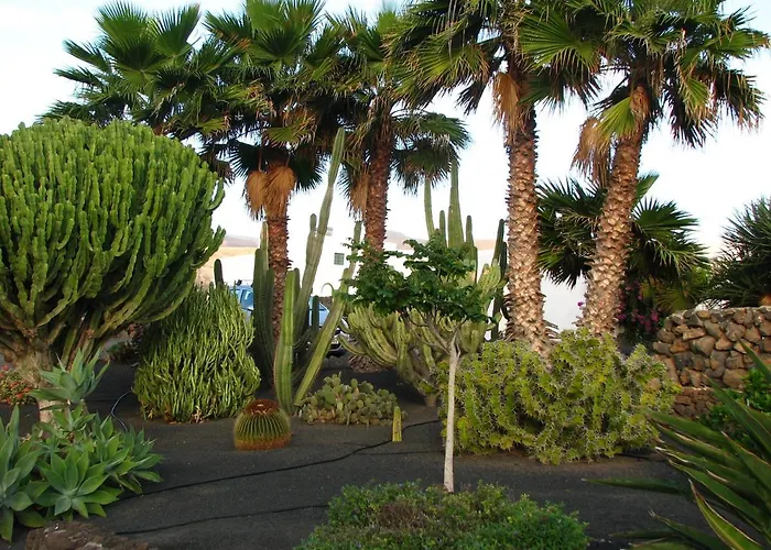 Appartamento Casa Ti - Botanica *